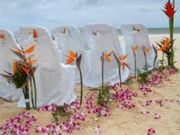 The vision of a wedding is. Wedding Flowers Bird Of Paradise Bubbly Bride Bird Of Paradise Wedding Beach Wedding Decorations Paradise Wedding