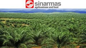 Property management company in jakarta, indonesia. Old And New Pt Sinar Mas Autopart Pt Sinar Mas Wisesa Egma Contractor Utama Steel Construction And General Contractor Simas Fund Powered By Pt