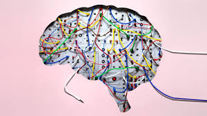 You'll also discover more fresh thinking personalized to your interests and can follow your favorite authors. How To Be A Better Leader By Rewiring Your Brain Inc Com