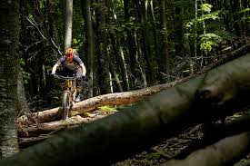 Started his sporting career at the age of five, prokop has claimed two world cup circuit gold medals, and three world championship jerseys (2003, 2004, and 2011) in the men's elite category, emerging him as one of the most successful fourcross riders in the sport's brief history. Michal Prokop Explores The Riding In Hungary S National Park Pinkbike