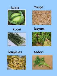 Ada banyak sekali kosakata nama sayur. Pelbagai Jenis Sayur Sayuran