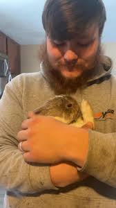 How to keep bunnies' feet clean?