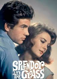 Who watched the 1960 romantic comedy movie CASH McCALL starring James  Garner, Natalie Wood, E.G. Marshall, Dean Jagger