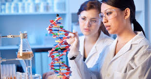 Careers with a biology degree which fall under this remit include marine and/or aquatic biologist, zoo biologist, conservation biologist, ecologist and environmental manager. Should You Major In Biology Bestcolleges
