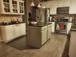White cathedral kitchen cabinet doors arschorus home design. Kitchen Cabinet Refinishing Before After