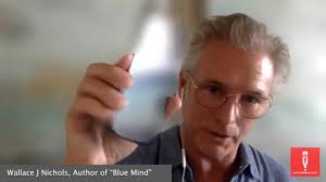 Ocean activist Kristal Ambrose is the founder of the Bahamas Plastic  Movement a non-profit committed to increasing ocean literacy amongst  Bahamian youth. Kristal won the prestigious 2020 Goldman Environmental  Prize for The