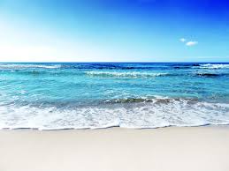 Zane lowe premiered the track on his beats 1 radio show… read more. What Gives The Beach That Smell Sulfur Making Algae Wired