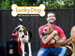 Here you will read a lot about them and our adventures, some about me and hubby, a little about our dog sandy, and a. Watch Lucky Dog Prime Video