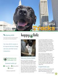 Our store also offers grooming, training, adoptions, veterinary and curbside pickup. Tracks Spring 2020 Tulsa Spca Newsletter By Tulsa Spca Issuu