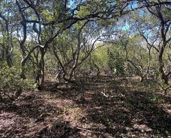 Bildergebnis für Reading Oceania