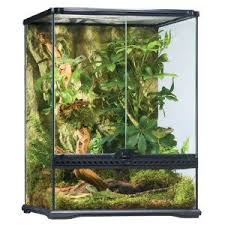 Exo Terra Rainforest Habitat Kit I M Way Too Excited To Be Getting One Of These Soon Rainforest Habitat Habitats Gecko Cage