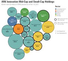 Looking at the ark innovation etf stock split history from start to finish, an original position size of 1000 shares would have turned into. Inside Ark Innovation S Big Stakes In Small Companies Morningstar
