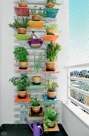 Sie wählen, was für pflanzen in ihrem vertikalen garten gärten in bunten farben. Vertikaler Garten Auf Der Veranda Gestalten