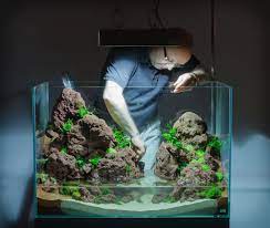 Aquascape Fish Tank Plants Aquascape Aquarium