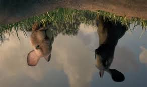 We did not find results for: Watership Down 2018 Ending Explained How Did Watership Down End Tv Radio Showbiz Tv Express Co Uk