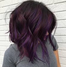 When born with dark hair you need to remember that achieving purple hair is a bit this could give you a beautiful natural ombre. Dark Brown Hair With Dark Purple Ombre Novocom Top