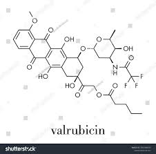 Image result for Valrubicin