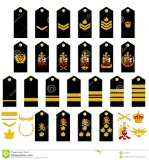 Canadian Army Insignia Stock Vector Illustration Of White
