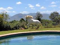 This farm retreat has the whinny formula: a herd of majestic ...