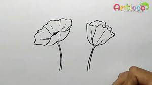 How to draw poppy easy, how to draw poppy flower, how to draw poppy easy, how to draw. How To Draw Poppy Flower Easy Youtube