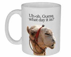 5.0 out of 5 stars 3. Hump Day Mug Etsy