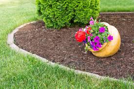 Product recommendations to exterminate bedbugs in your house or apartment. Fertilizer Weed Control Lawn Pest Control Services In Shelby County By Nature Pro Lawn Care Alabaster Pelham Helena Calera Chelsea