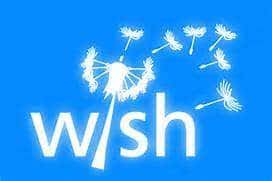 Bentuk dan rumus kalimat present continuous tense. Contoh Kalimat Wish Beserta Artinya Studybahasainggris Com