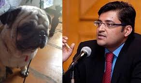 Dog V S Arnab Goswami