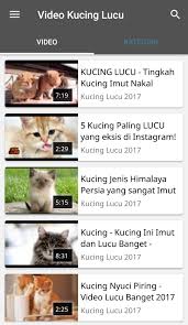 Download lagu video kucing lucu mp3 dapat kamu download secara gratis di metrolagu. Video Kucing Lucu Imut For Android Apk Download