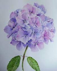 Pin By Rachel De On Flor Floral Watercolor Floral Art Flower Painting