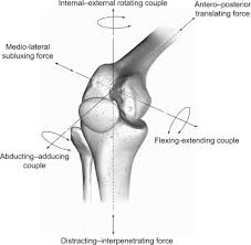 Joint Kinematics An Overview Sciencedirect Topics