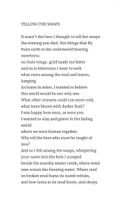 Telling The Wasps By Paisley Rekdal Winner Of The 2018 Narrative Prize Poems Narrator Literary Themes