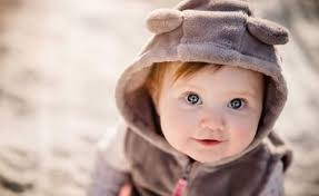 Baby, great-grandmother killed after SUV slams into living room in Green  River