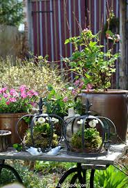 Hallihallo Meine Allerbesten Na Wie Schaut Das Aus Wie Fruhling Ja Wie Fruhling Endlich Nach Dem Schock Vom Garten Garten Deko Brunnen Garten