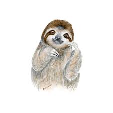 I had so much fun designing this little guy and i hope you have as much fun. Baby Sloth Watercolor Portrait Baby Animal Print Tiny Toes Design