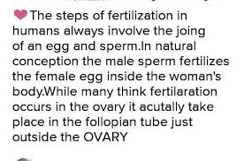 See full list on byjus.com How Does Fertilization Take Place In Human Brainly In