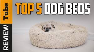 Maybe you would like to learn more about one of these? Dog Bed Best Dog Bed 2021 Buying Guide Youtube