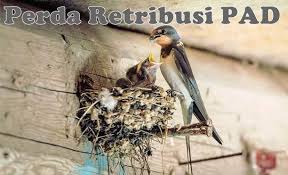 Tahun 2006 sahaja nilai sarang burung layang2 didagangkan di seluruh dunia berjumlah tidak kurang dari 13 bilion ringgit. Siap Siap Pengusaha Sarang Burung Walet Di Bolmong Akan Dikenakan Pajak Totabuan Co