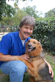 Specialty and emergency medicine in jacksonville, florida. Brentwood Animal Clinic Jacksonville Fl Home