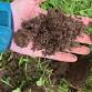 Gardening 102: Soil Health Workshop