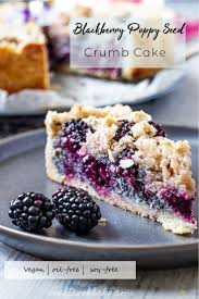 Easy Recipe For A Vegan Blackberry Poppy Seed Crumb Cake This German Style Streusel Cake Is Quick Made And Perfect For A Vegan Bakery Yummy Cakes Vegan Sweets