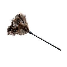 Birds Of The Same Feather Make A Good Feather Duster Jialeey Ostrich Feather Duster 14 Inch Gray With Images Feather Duster Ostrich Feathers Feather