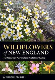 A bouquet of new england flowers from hydrangeas on martha's vineyard to lupines in new hampshire. Wildflowers Of New England A Timber Press Field Guide Elliman Ted Native Plant Trust 9781604694642 Amazon Com Books