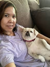 Pug Nation Rescue of...