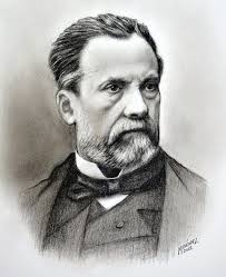 The History of Vaccines and the Importance of Vaccine Mandates