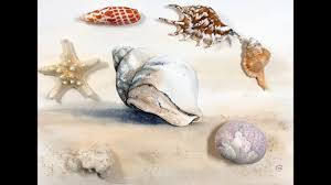 More images for watercolor conch shell painting » Sea Shell Painting In Watercolor Youtube
