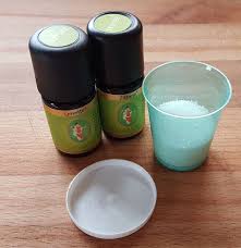 Atherische Ole Bei Magen Darm Infekten Neben Der Allgemeinen Erkaltungswelle Ist Wohl Seit Ein Paar Tagen Auch Mundpflege Aromatherapie Aromatherapie Rezepte