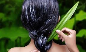 Questo gel è stato pensato e creato appositamente per ogni tipo di . Aloe Vera Per Favorire La Crescita Dei Capelli Ecco Come Usare Il Gel