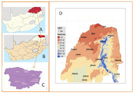 Image result for Lophiocarpus tenuissimus