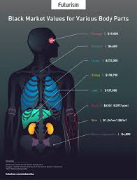 Legalizing Black Market Organs Could Save Lives Futurism